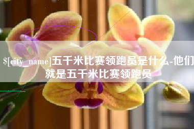 涉县五千米比赛领跑员是什么-他们就是五千米比赛领跑员