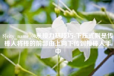 涉县60米接力赛技巧-下压式则是传棒人将棒的前部由上向下传到接棒人手中