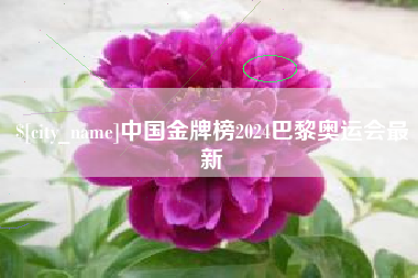 涉县中国金牌榜2024巴黎奥运会最新