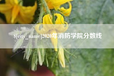 涉县2020年消防学院分数线