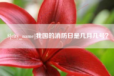 涉县我国的消防日是几月几号？