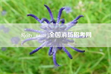 涉县全国消防招考网