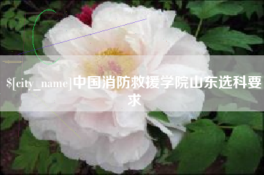 涉县中国消防救援学院山东选科要求
