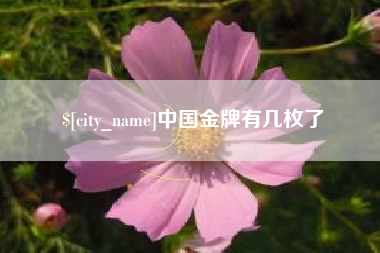 涉县中国金牌有几枚了