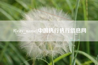 涉县中国执行执行信息网