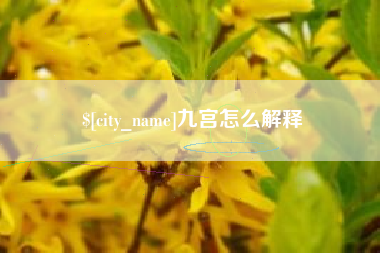 涉县九宫怎么解释