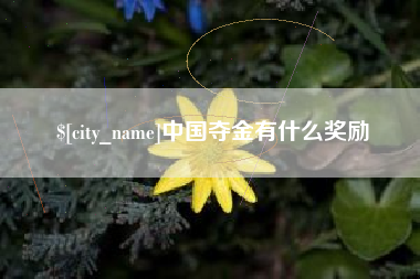 涉县中国夺金有什么奖励