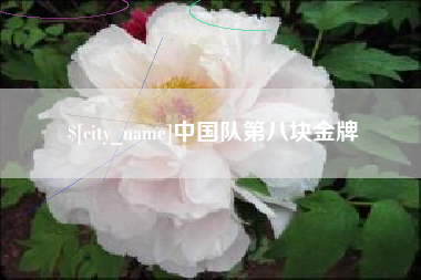 涉县中国队第八块金牌
