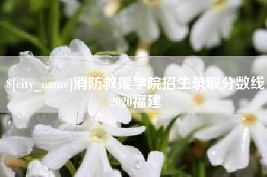 涉县消防救援学院招生录取分数线2020福建