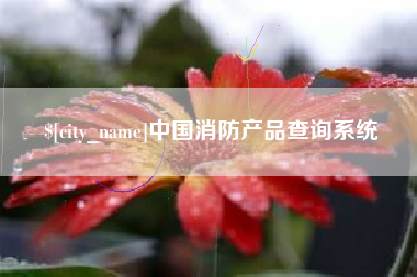 涉县中国消防产品查询系统