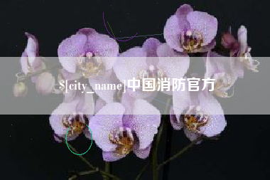 涉县中国消防官方