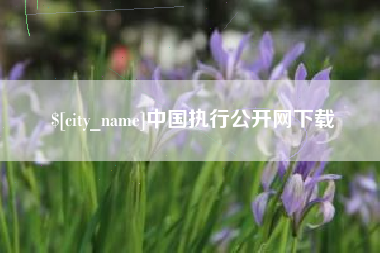 涉县中国执行公开网下载