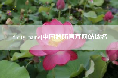 涉县中国消防官方网站域名