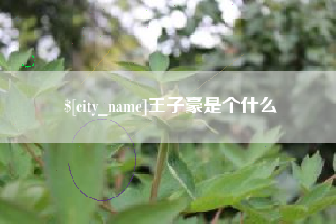 涉县王子豪是个什么