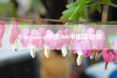 涉县中国5000米国家记录