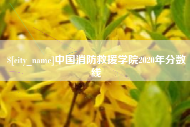 涉县中国消防救援学院2020年分数线