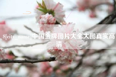 涉县中国金牌图片大全大图真实高清