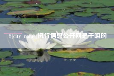 涉县执行信息公开网是干嘛的