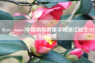 涉县中国消防救援学院浙江招生2020分数线