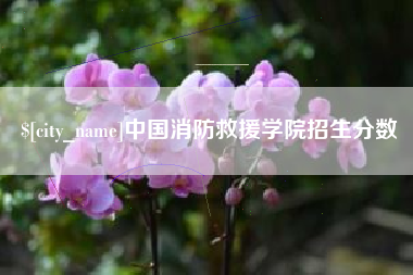涉县中国消防救援学院招生分数