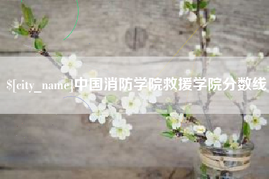 涉县中国消防学院救援学院分数线