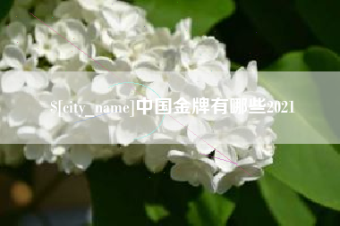 涉县中国金牌有哪些2021