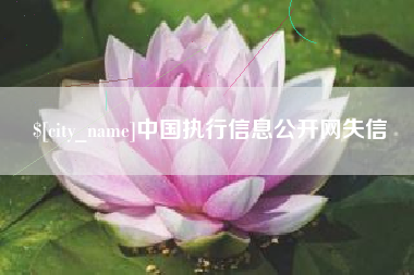涉县中国执行信息公开网失信