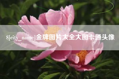 涉县金牌图片大全大图卡通头像