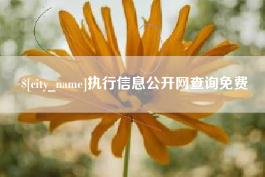 涉县执行信息公开网查询免费